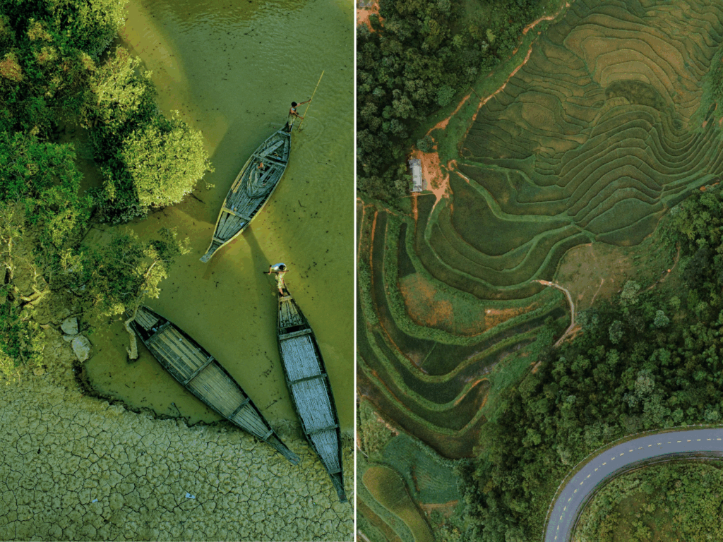 Collage of two photos: an aerial view of a mangrove forest; an aerial view of green terraced fields.