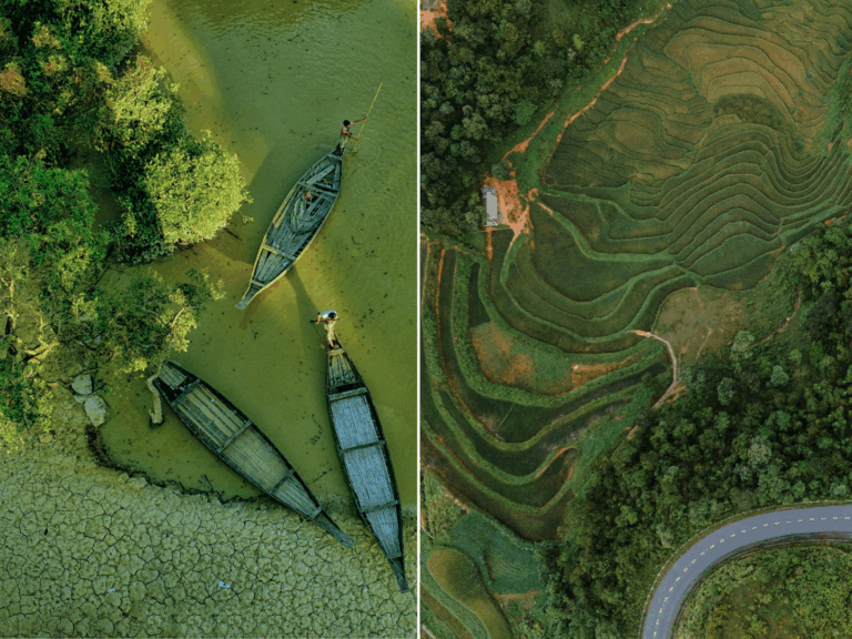Collage of two photos: an aerial view of a mangrove forest; an aerial view of green terraced fields.
