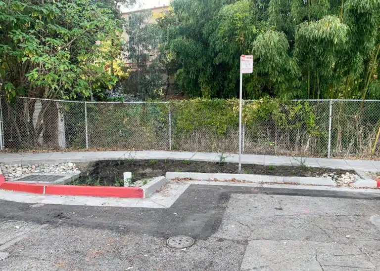 The end-of-block stormwater bioretention facility.