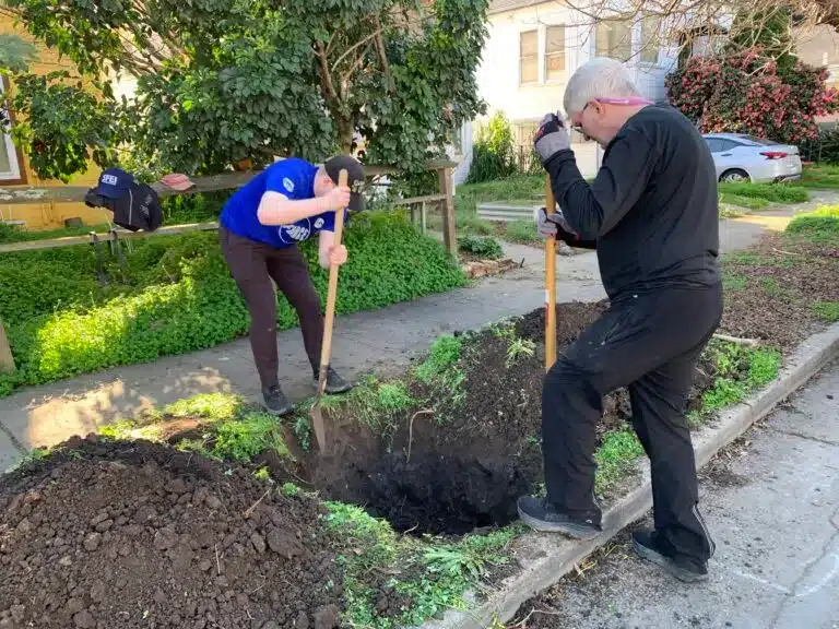 Two men digging a hole in a sidewalk planting strip.