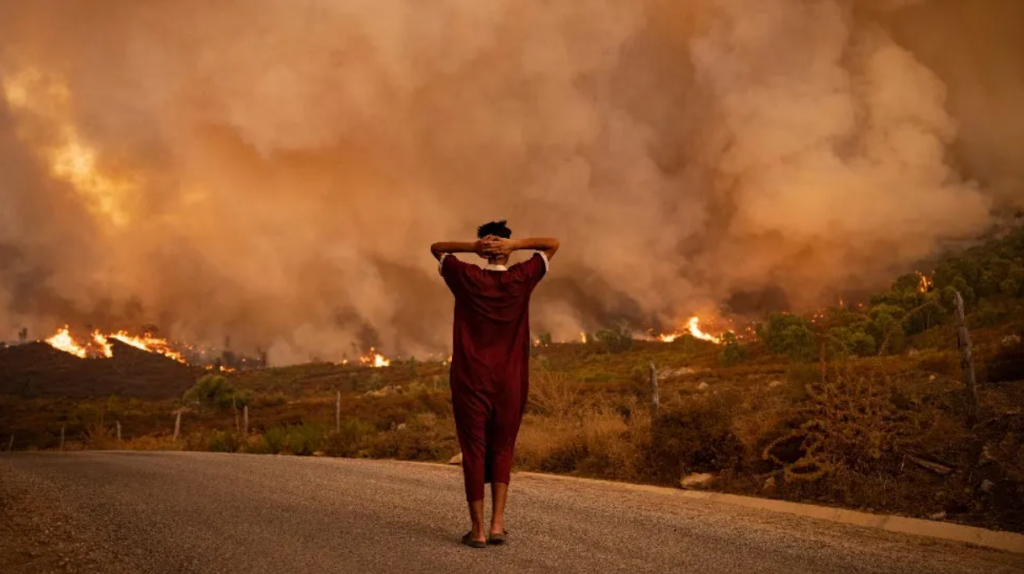 Person in the foreground looking at a wildfire ravaged landscape and smoky sky