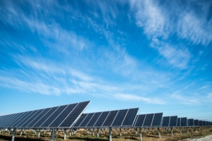 Rows of solar panels under an open sky