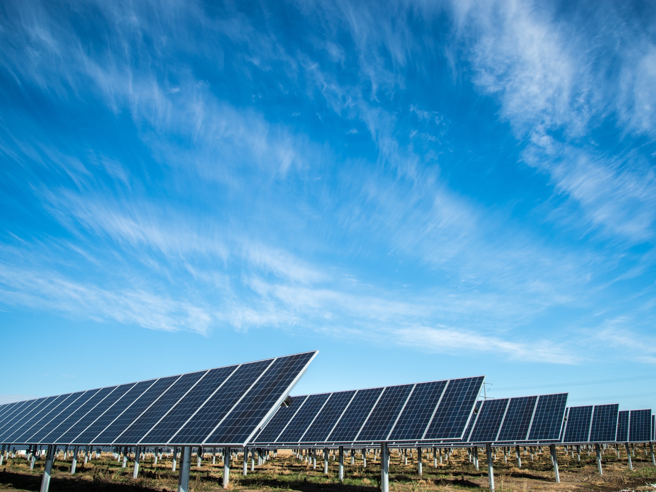Rows of solar panels under an open sky