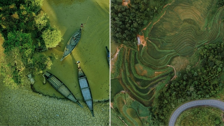 Collage of two photos: an aerial view of a mangrove forest; an aerial view of green terraced fields.