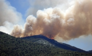 Smoke billowing from a forest wildfire on top of a hill